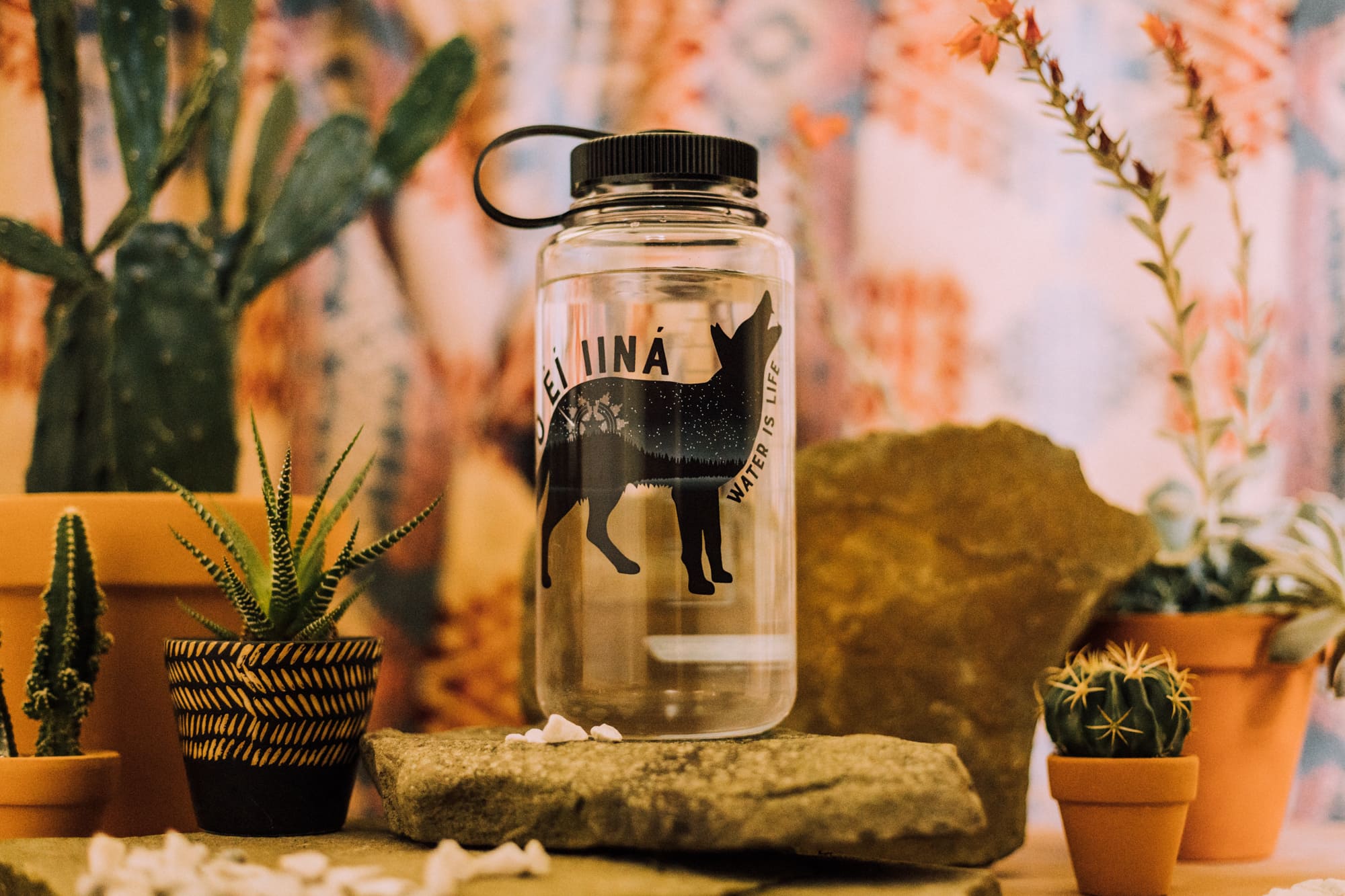 A clear water bottle with a wolf design sits among potted cacti and rocks on a decorated surface.