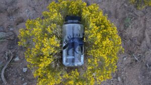 A clear water bottle sits on top of a round bush with small yellow flowers, on dry, rocky ground.