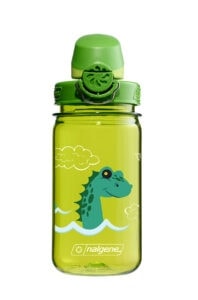 12oz On-The-Fly Kids Sustain Bottle with Graphic featuring a cartoon dinosaur, clouds, and waves on a green Nalgene.