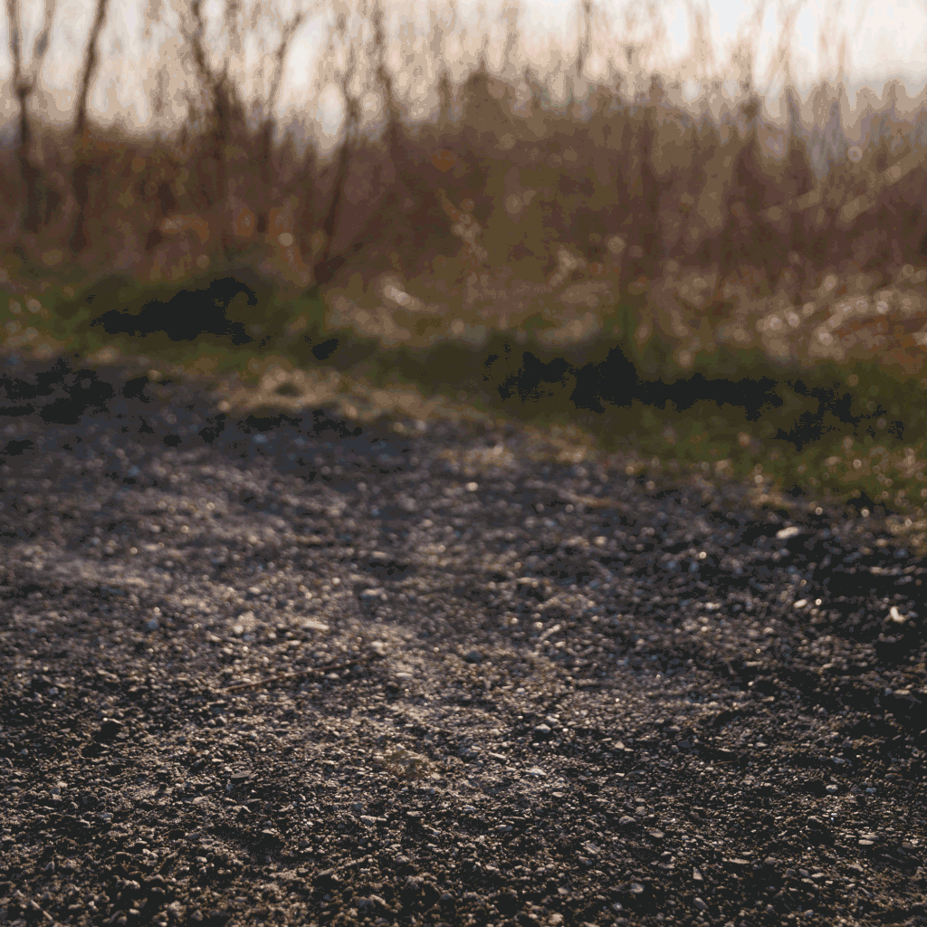 A gravel path with dry grass and blurred foliage in the background on a sunny day.